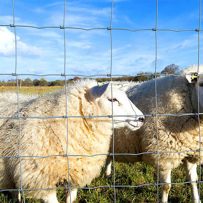 wholesale 4 ft. x 330 f Fixed Knot Farm Fence Field Fence galvanized field fence